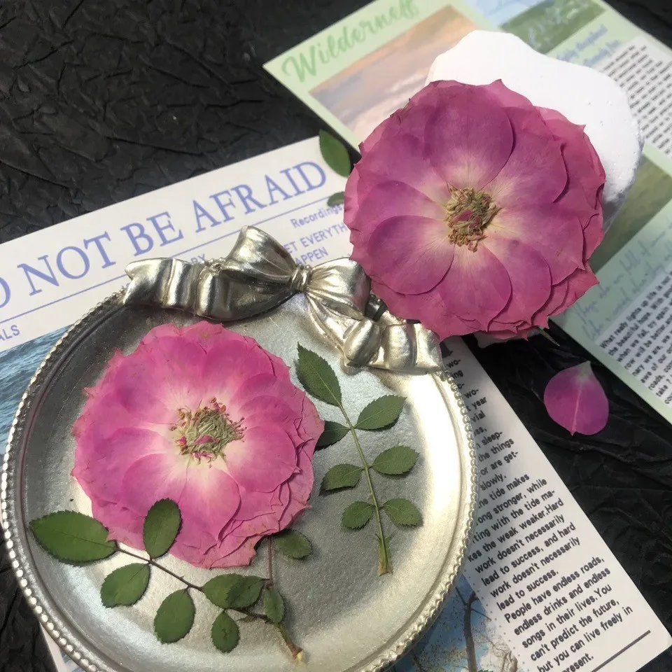 

100Pcs Dried Rose Flowers, Pressed Flowers for Phone Cases, Natural Real Flower Specimens, Pressed Flower Art Materials, Coffee Decorations, and Photo Frames