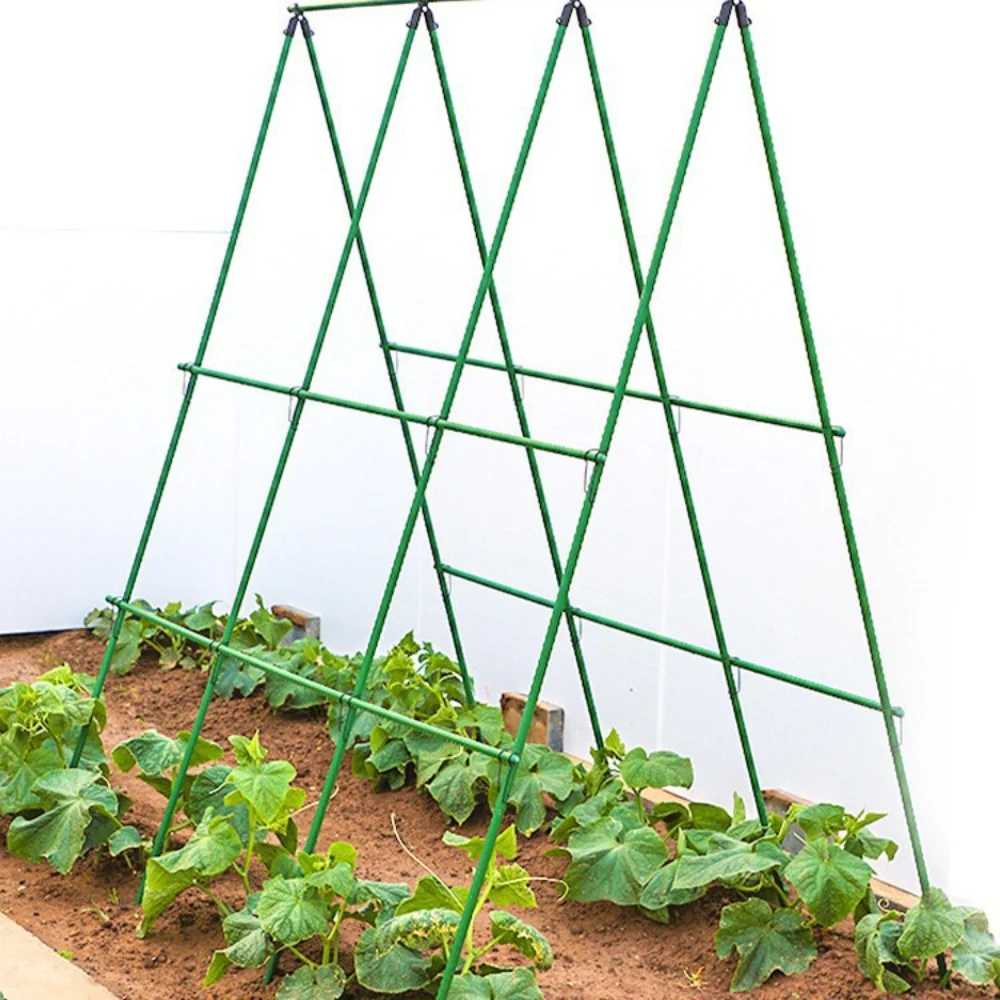 Climbing Rack Garden Trellis Adjustable Plant Support Frame | DIY Vine & Vegetable Stand 60cm Set