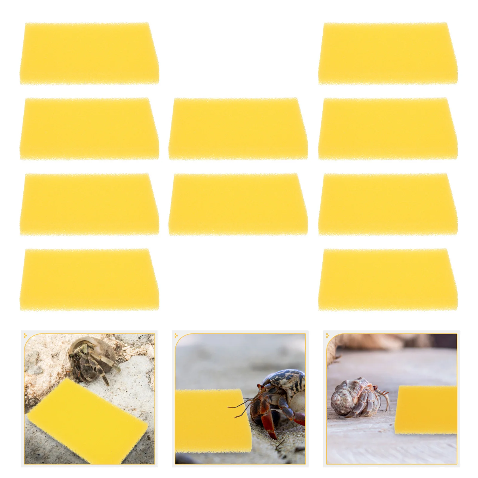 

10Pcs Aquarium Sponge Filter Fine Hole Absorbent Sponge High Toughness Reptile Tank Fish Tank Filter Cotton Hermit Crab Sponges
