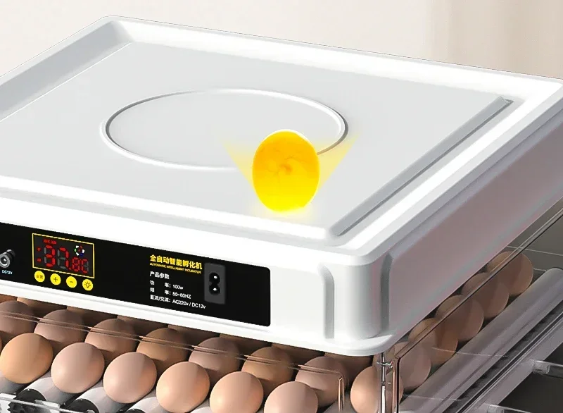 Incubator Water Bed Chicken Incubator Household Fully Automatic Intelligent Incubator  aquecedor de ambiente