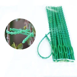 11/13/17/23cm Adjustable Plastic Plant Cable Ties Reusable Shrub Fastener for Garden Tree Climbing Support Vine Tomato Stem Clip