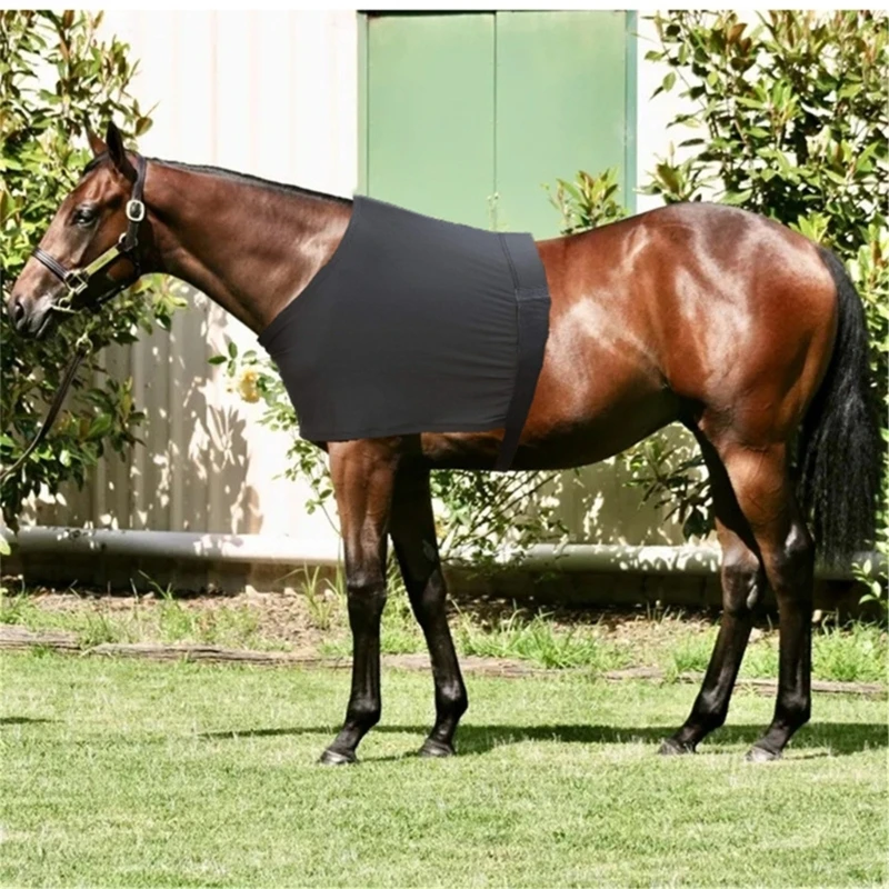 تمتد الحصان الكتف الحرس المضادة للفرك مريلة الخيول الصدر التوقف يذبل حامي تنفس الحصان السجاد لرياضة الفروسية #4