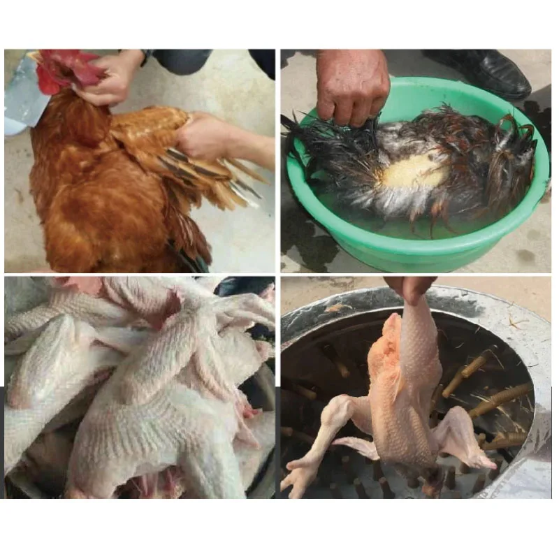 New Multifunctional Poultry Depilator Machine, Electric Feather Plucker for Quail Pigeon Dove and Various Farm Birds（customized）
