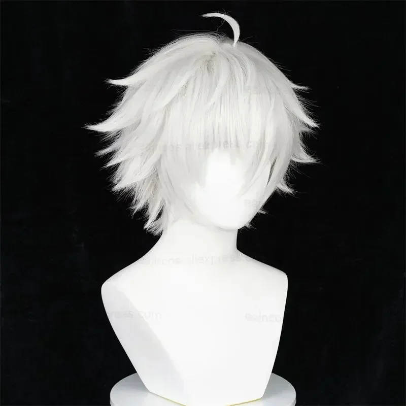 

CosplayPeluca de Cosplay de Anime Seishiro Nagi, pelucas cortas blancas plateadas de 30cm, pelo sintético resistente al calor