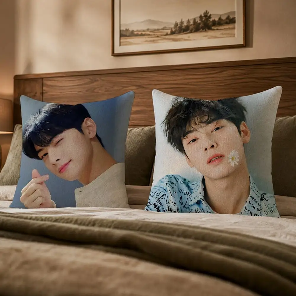 Famous Actor Cha Eun-woo Cushion Cover Ultra Soft Throw Pillow Cover Skin Friendly for Sofa Bed Home Decor Gift