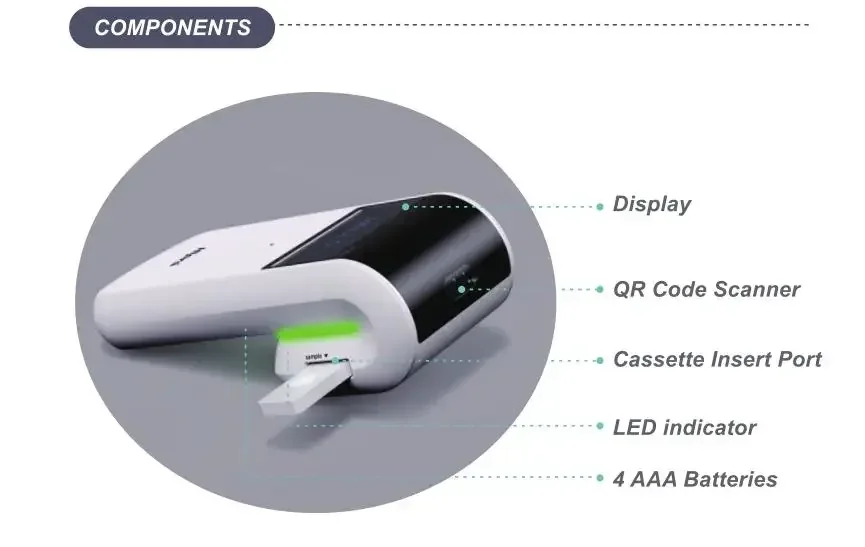 Schnelle Schnelle H…