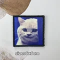 TH002-Wonderful cat