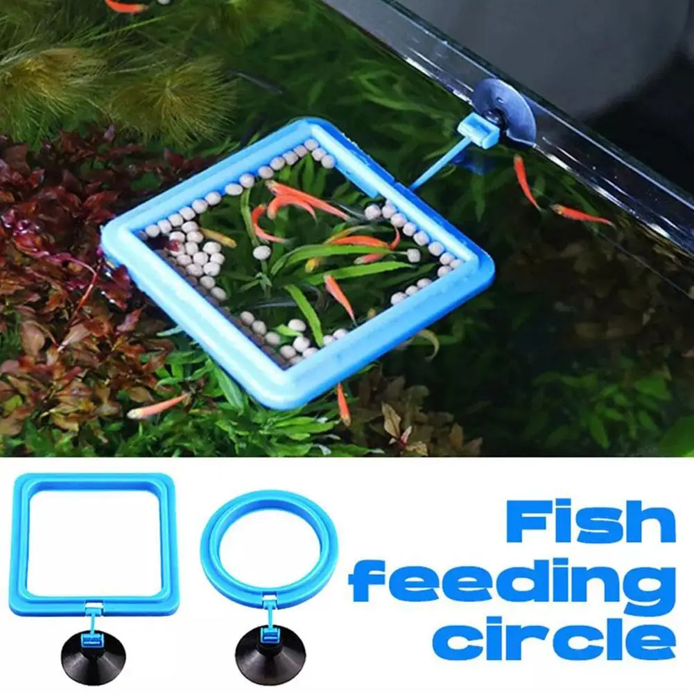 Aquarium Feeding Ring Fish Tank Station Floating Food Tray Feeder Square Circle Accessories Fish Foods Feeder With Suction Cup