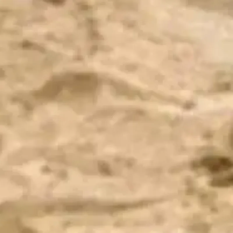 

1 шт. профессиональная лопата для песка и снега - ярко-оранжевый инструмент для копания на пляже для детей/взрослых, прочная пластиковая игрушка для снега