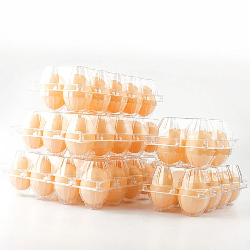 Disposable Transparent Egg Box PET Anti Pressure and Anti Drop Egg Packaging Boxes 4 Plastic Egg Protection Trays with 20 Pieces