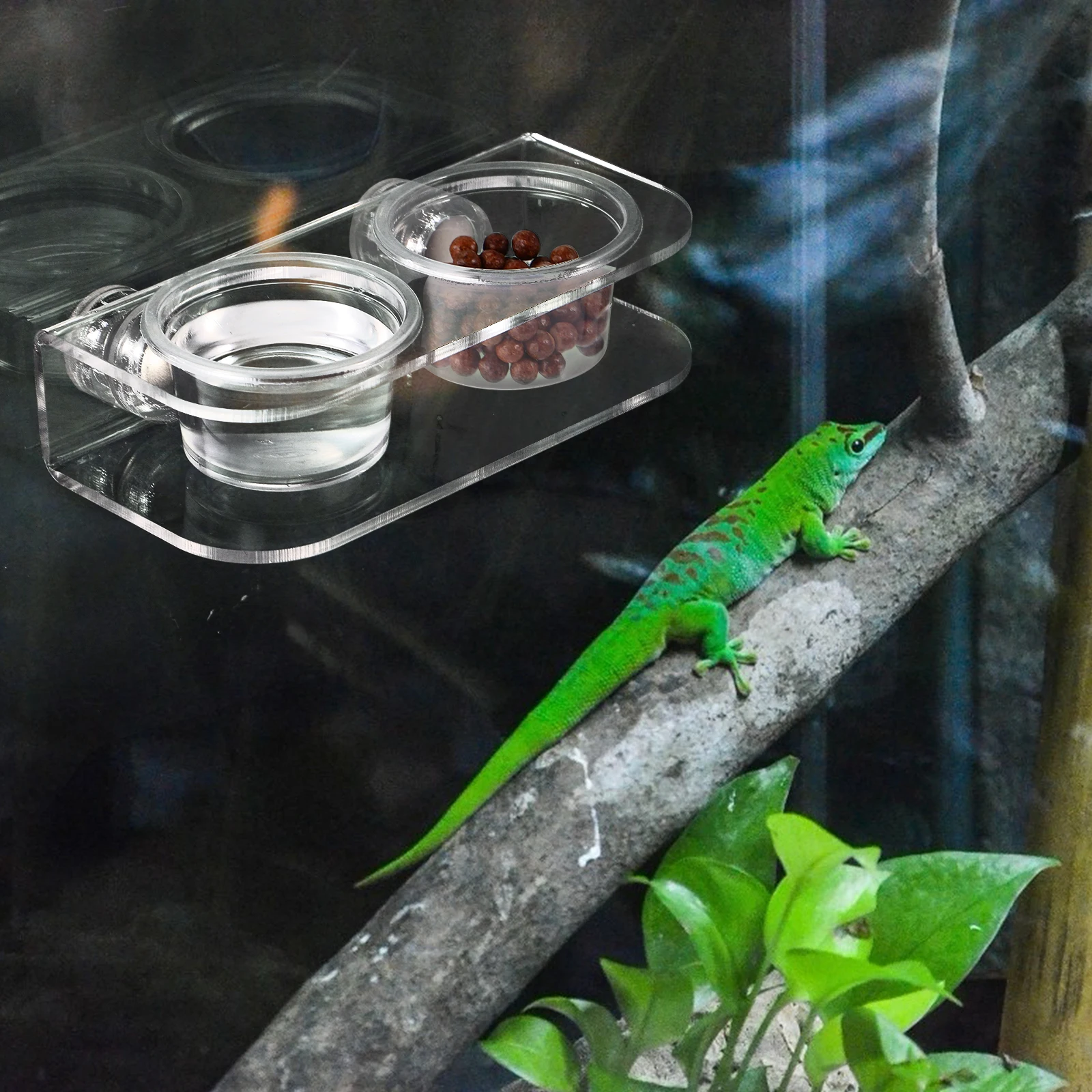 

10pcs Reptile Feeding Bowls Durable Acrylic Gecko Tank Accessories Lizard Waterer Small Pets Supplies Easy Clean