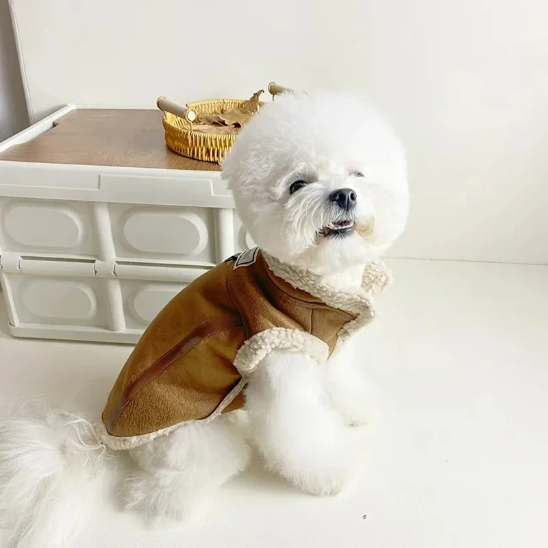 pet apparel
