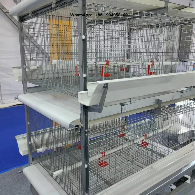 High Quality Automatic Chicken Cage System Chicken Cage for Layers Poultry Farming 10000 Chicken Egg Collecting System