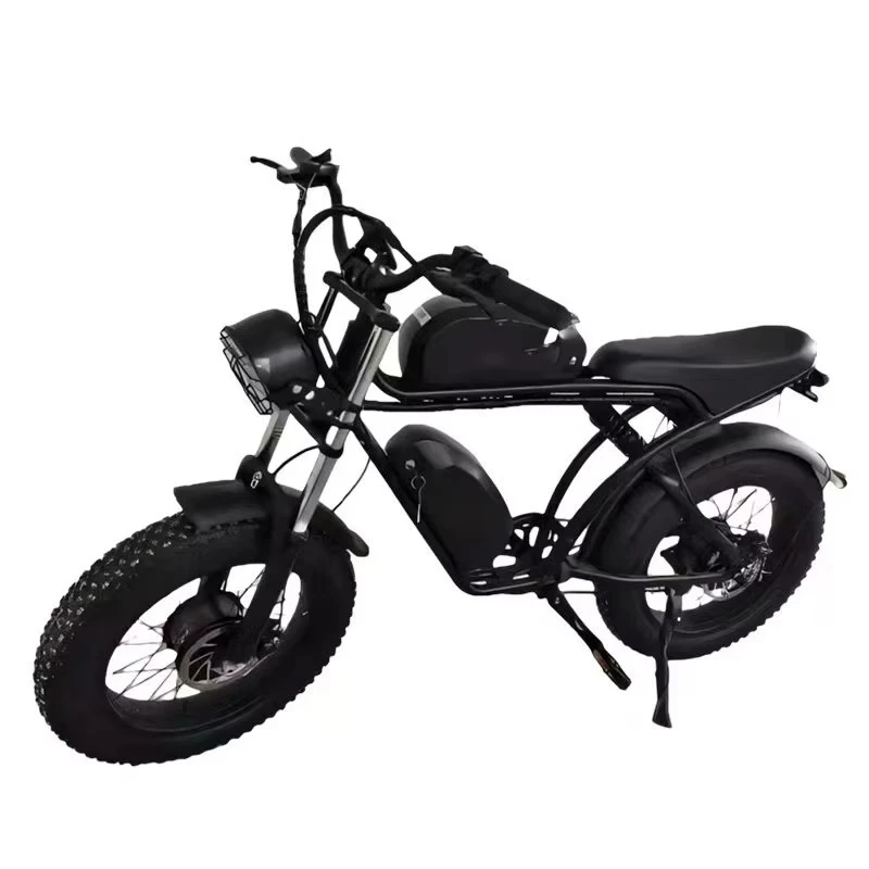 

Factory Wholesale Dual Battery Dual Motor 20 Inch Variable Speed Beach Off-Road Wide Tire Electric Snowmobile