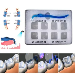 1Set Dental Orthodontic Posterior Teeth Aesthetic Printing Kit Printing Restoration Teeth Quick Built Dentistry tools Material