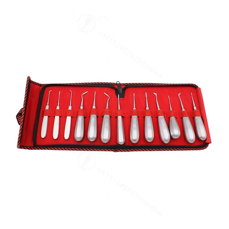 13Pcs Stainless Steel Dental Elevator Set, Tooth Extraction Elevators Surgical Teeth Extracting Instrument for Oral Clinic Use