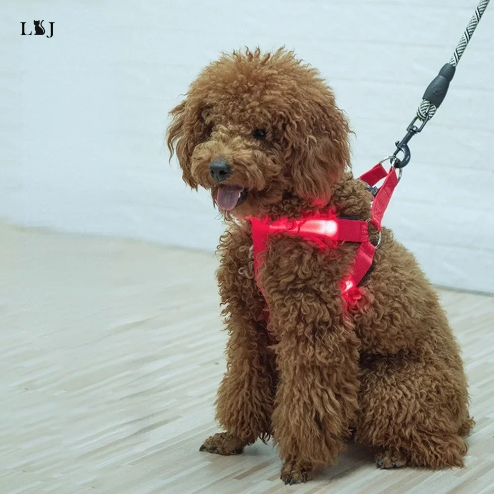 Dog Harness for Night Safety LED Luminous USB Pet Chest Strap for Medium Large Dog Rechargable Glowing Harness Dog Accessories