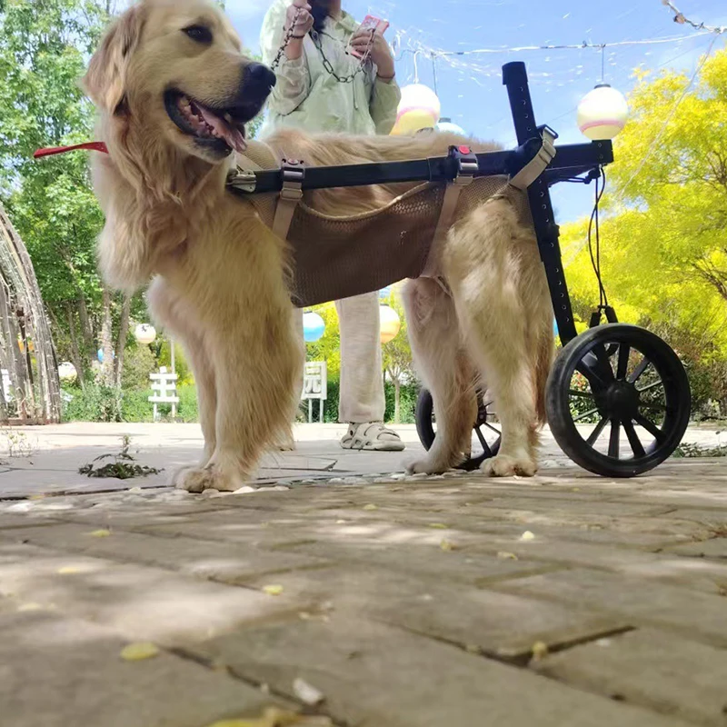 Thumbnail 2 - #16 Latest Wheelchairs Updates