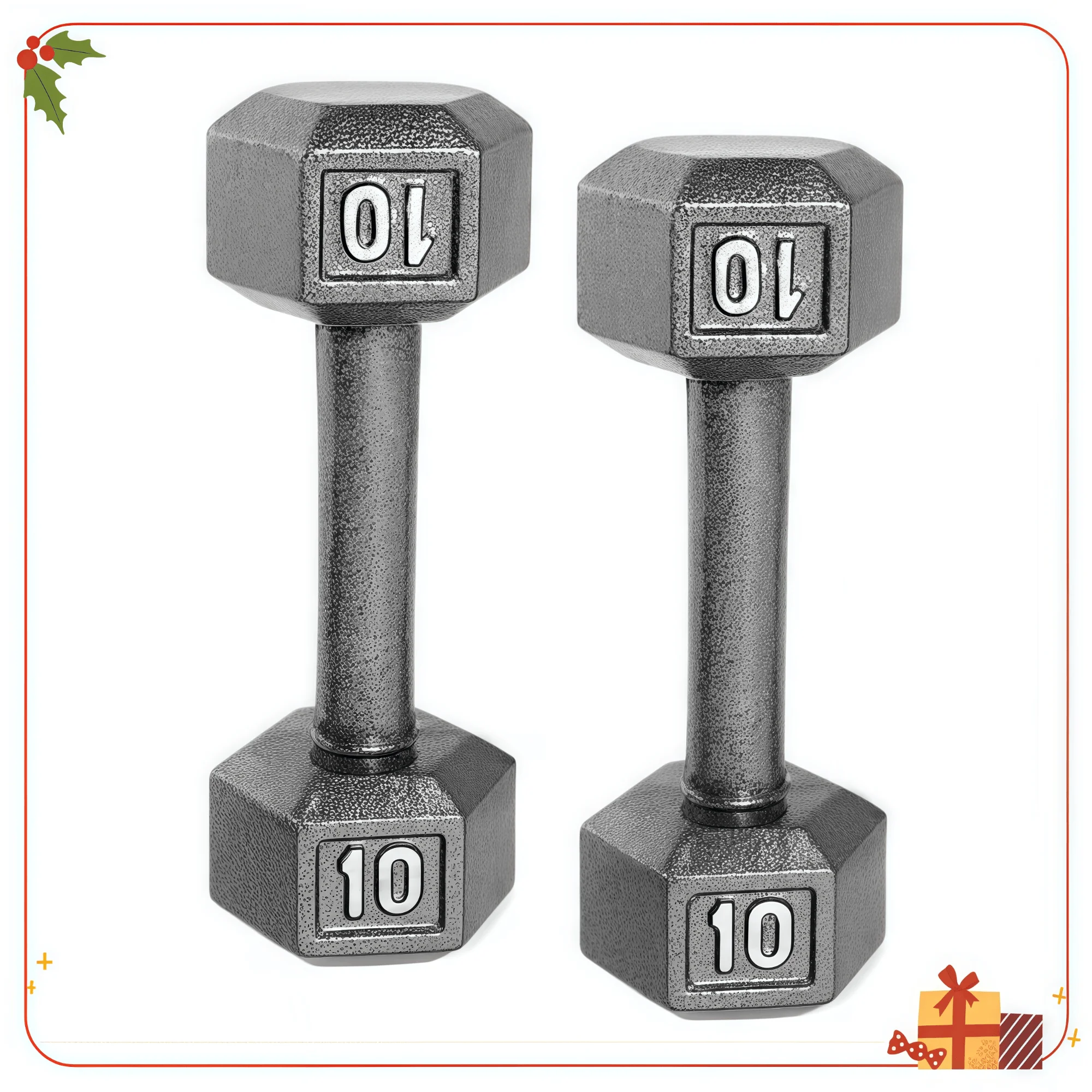 10LB paar gietijzeren haltergewichten, zeskantkop voor anti-rolgrip, krachttraining voor thuisgymnastiek, fitness en trainingen