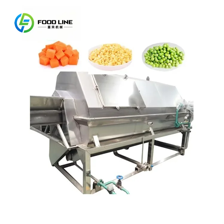PLC Motor Controlled 2.6KW Spiral Hot Water Blancher Custom Fruit Vegetable Processing Equipment