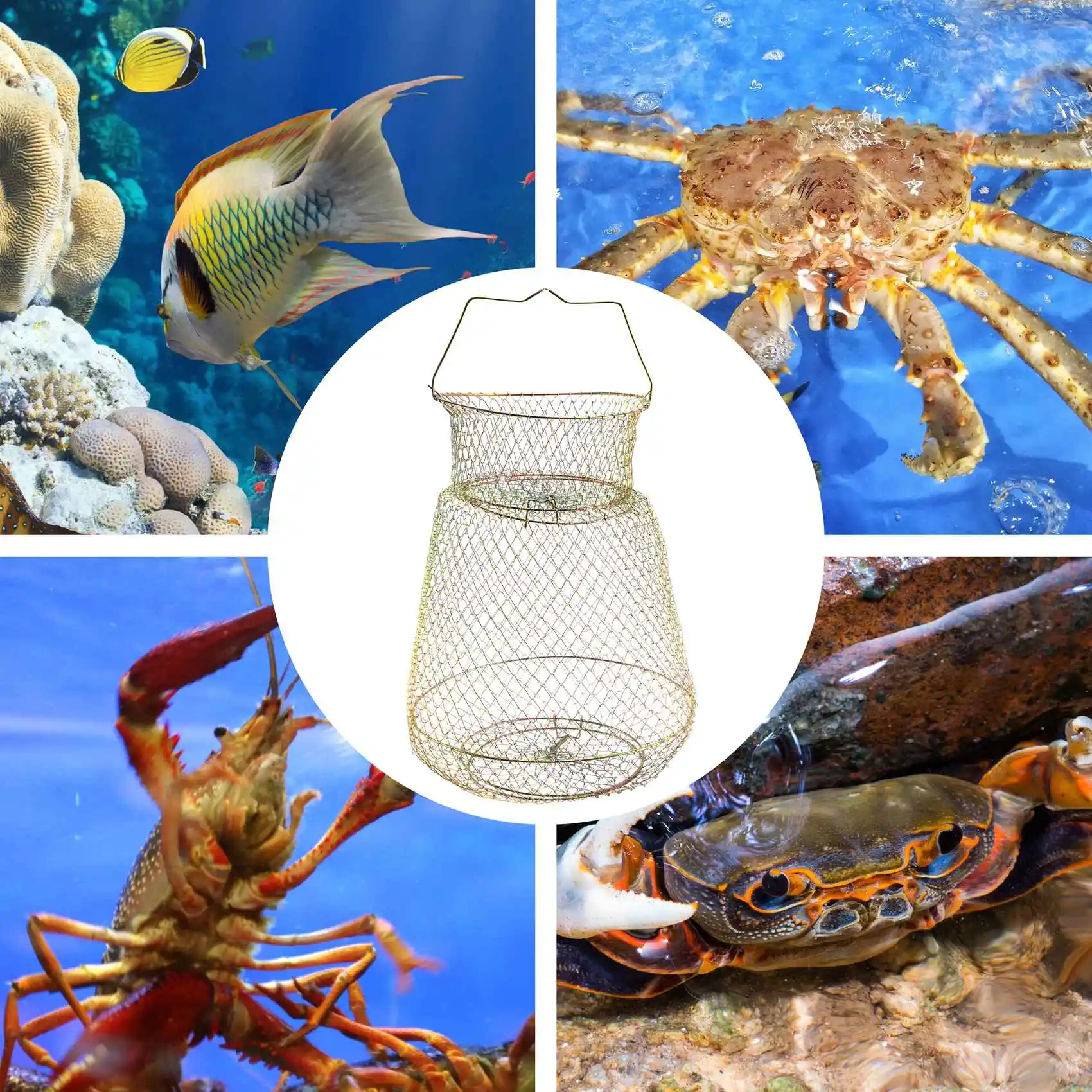 【STOCK】Foldable Portable Steel Wire Fishing Pot Trap Net Crab Crawdad Cage Fish Basket