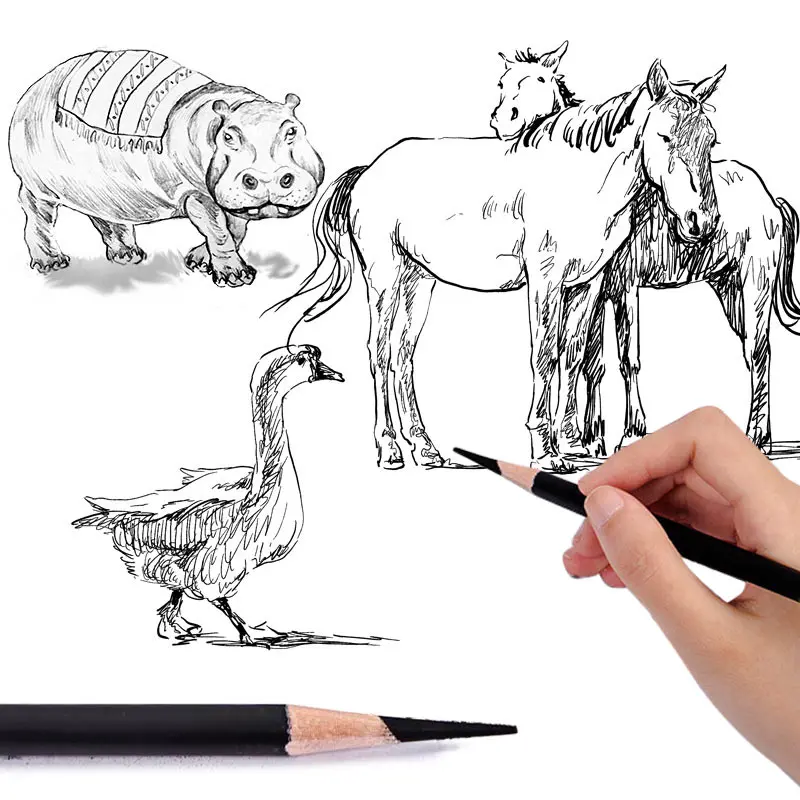 Profissional 12 pçs conjunto de lápis de carvão macio médio difícil para o artista arte esboço desenho desenho estudante artigos de papelaria suprimentos presente