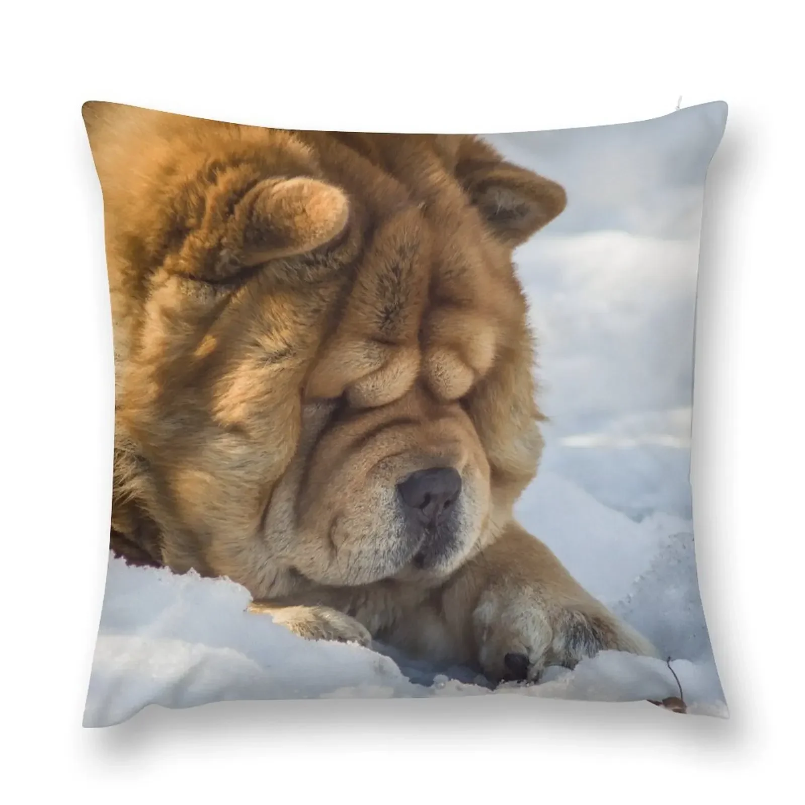 

Chow-Chow watchdog Throw Pillow Decorative Cushions For Living Room Decorative Sofa Cushions pillow