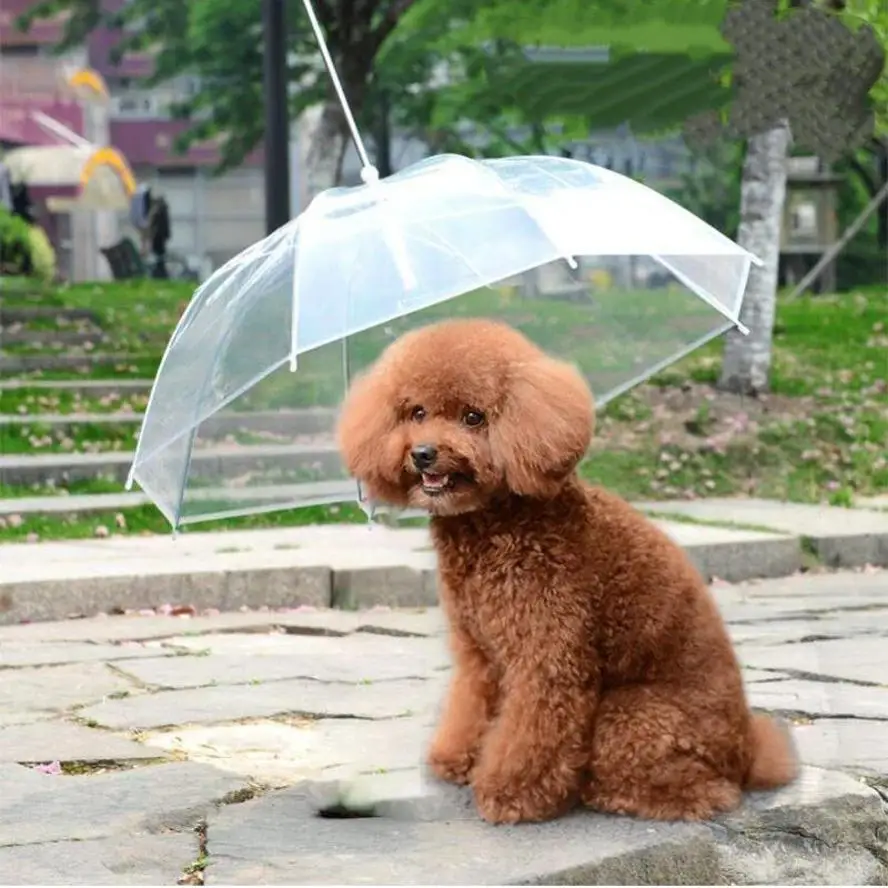 Kreativer Teddy-Pudel für kleine Hunde, führende Regenschirme, gehende Hunde, die Hunde reisen, wasserdichter Poncho, Haustierprodukte