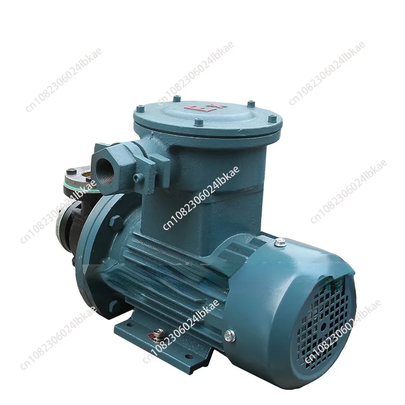 YS-20B-EX Explosion-Proof Hot Water Hot Oil Gear Peripheral Pump