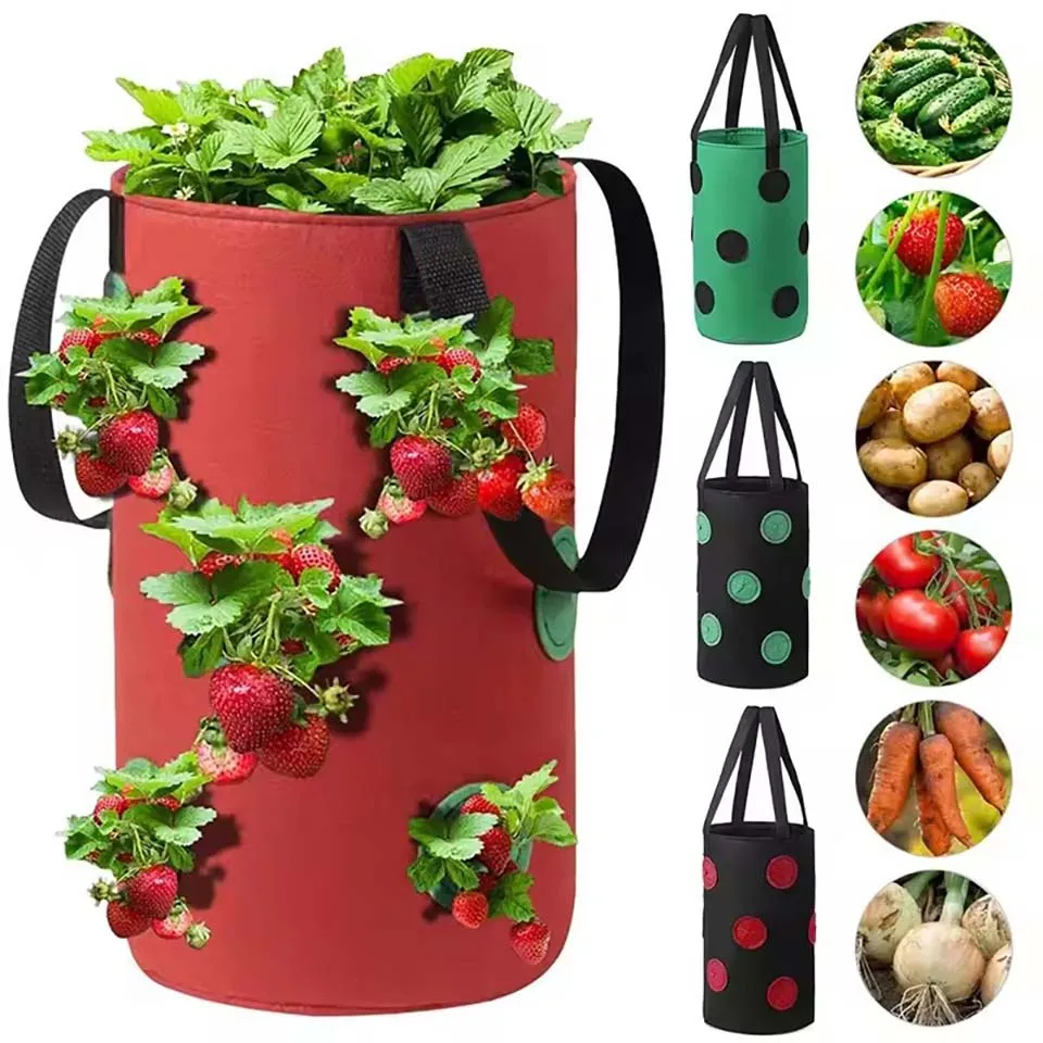 Maceta Colgante Multifuncional de Fieltro con 13 Orificios para Cultivo de Tomates, Fresas, Vegetales y Flores