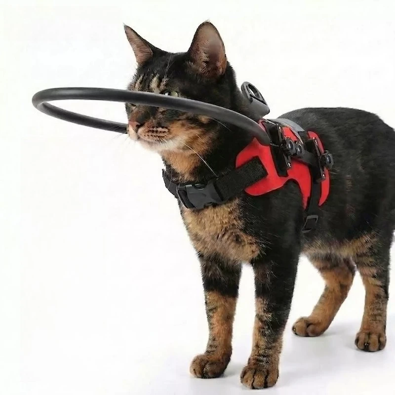Pet Blind Cat & Dog Collar, Soft Anti-Collision Guard Ring, Obstacle Avoidance Protector for Visually Impaired & Senior Pets