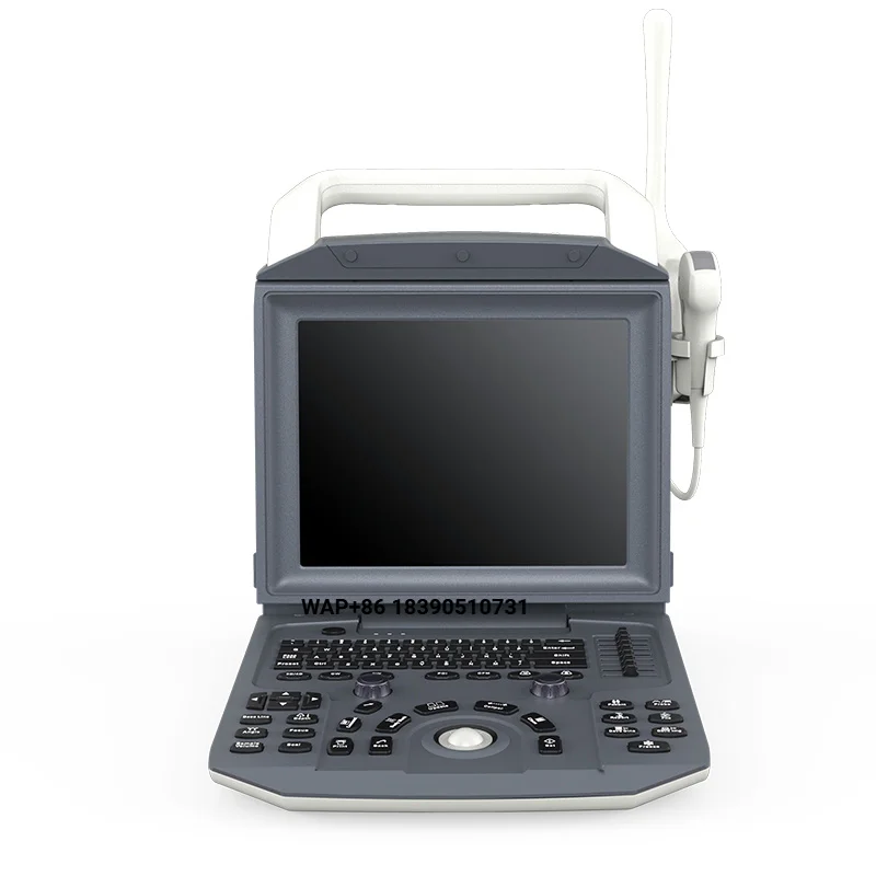 YSB-I50 Veterinary Portable Clinical Veterinary Ultrasound Machine Pet Animal Scanner Ultrasound Price