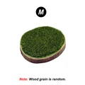 Green M