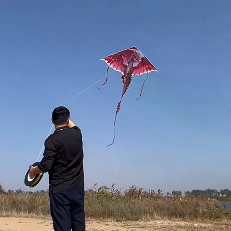 Enjoyable 1.4M Big Pterosaur Kite, Dragon Kite For Children and Adults, Easy to Fly Tail Outdoor Toy