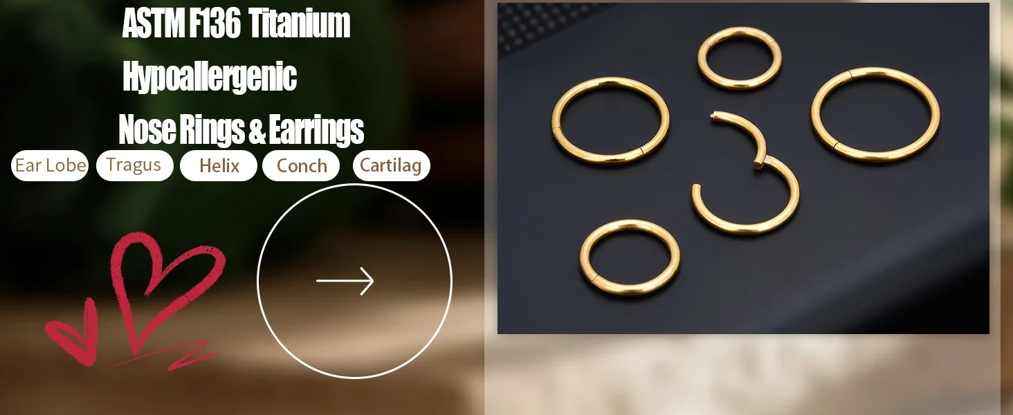 10/50 Stück G23 Titan Nasenring 16G 18G 20G Klappbarer Clicker Segment Septum Hoop Damen Herren Ohrknorpel Ohrring Piercing Schmuck – Detail 2