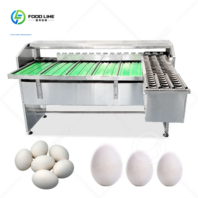FOODLINE Customized Small Automatic Weight Size Sorting Chicken Egg Grading Machine for Sale