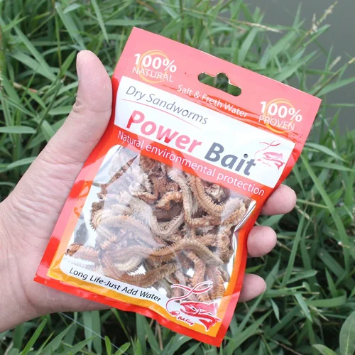 Imagen 2 del producto 1-10 Bolsas de Lombrices de Arena Secas, Señuelos de Pesca Realistas, Lombrices de Arena Artificiales para Pesca en Agua Salada y Agua Dulce