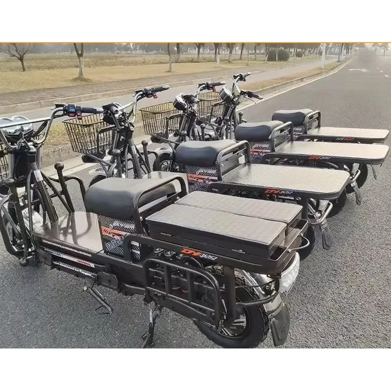 STROVAN Family Recumbent Cargo Electric Motorbike for Loading & Transport Purposes
