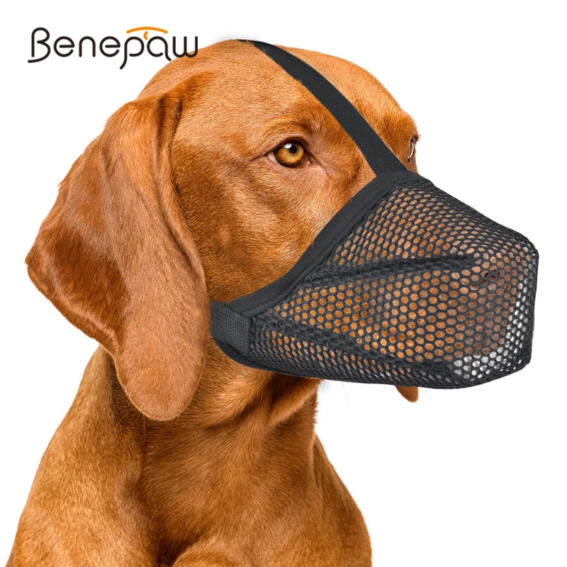 #6 Trending Puppy Muzzles Right Now