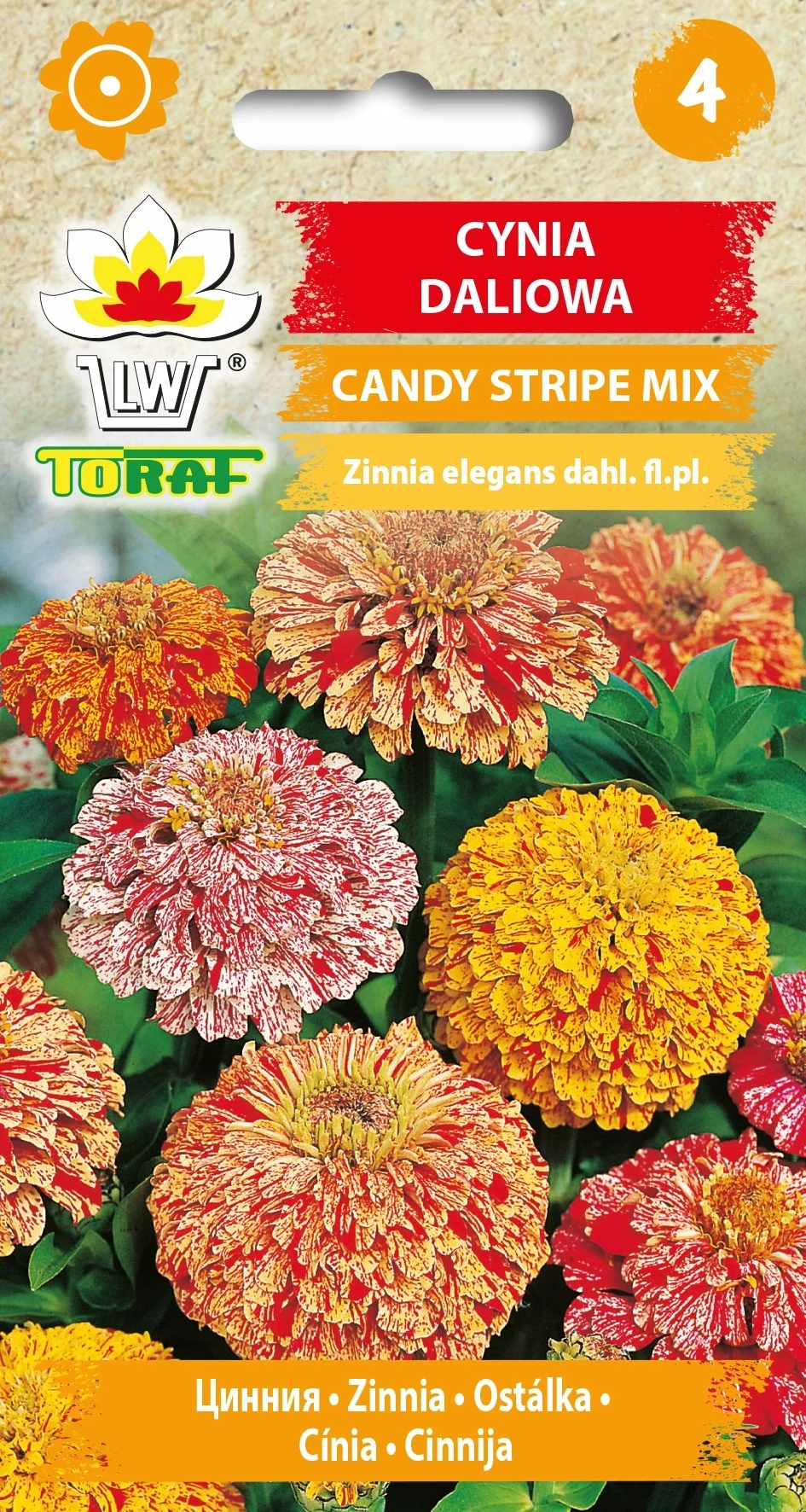 Dahlia CANDY STRIPE MIX Blumensamen-475 Toraf