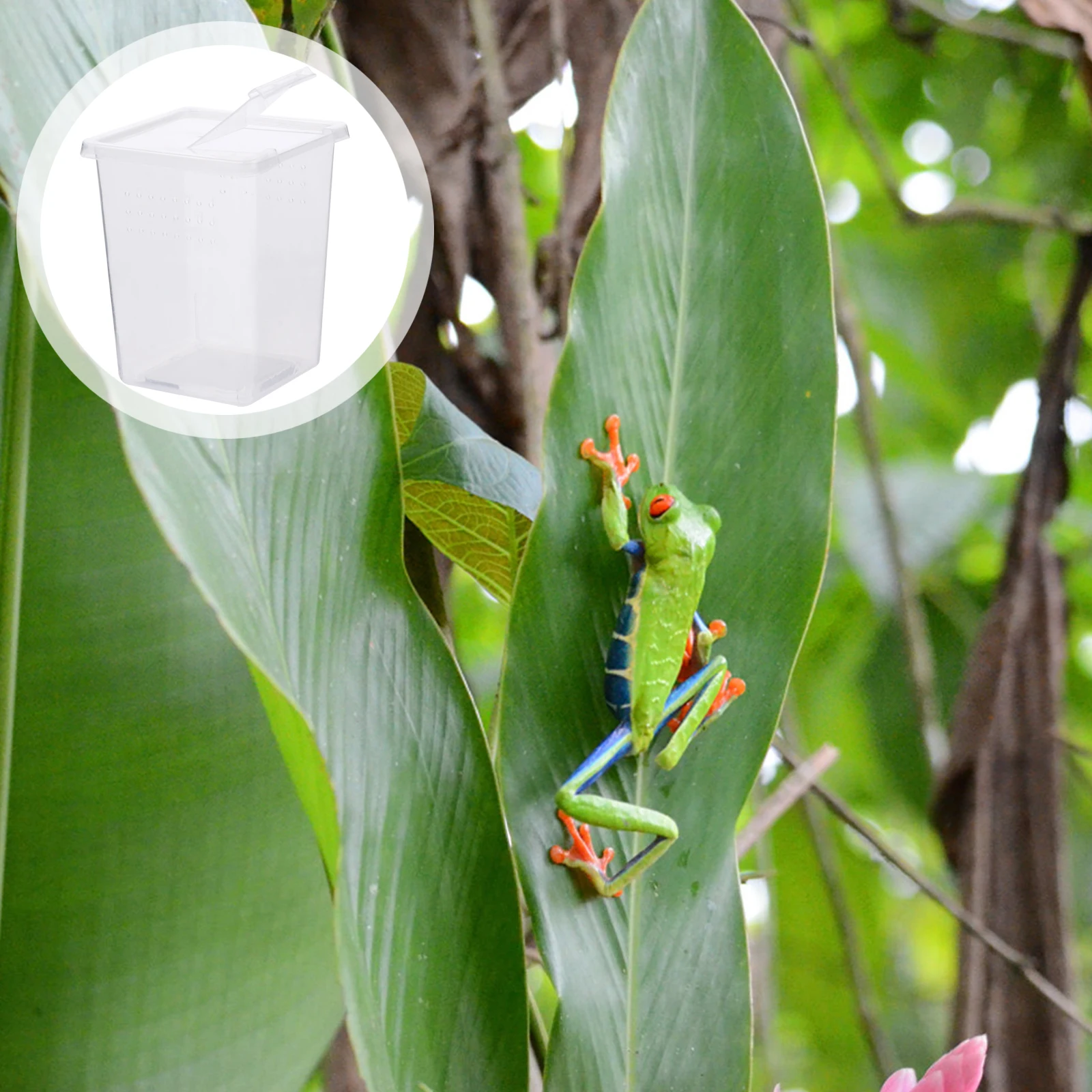 

2Pcs Reptile Breeding Box High Transparency PP Mini Reptile Tank Double Side Opening for Tarantula Gecko Lizard Turtle Feeding