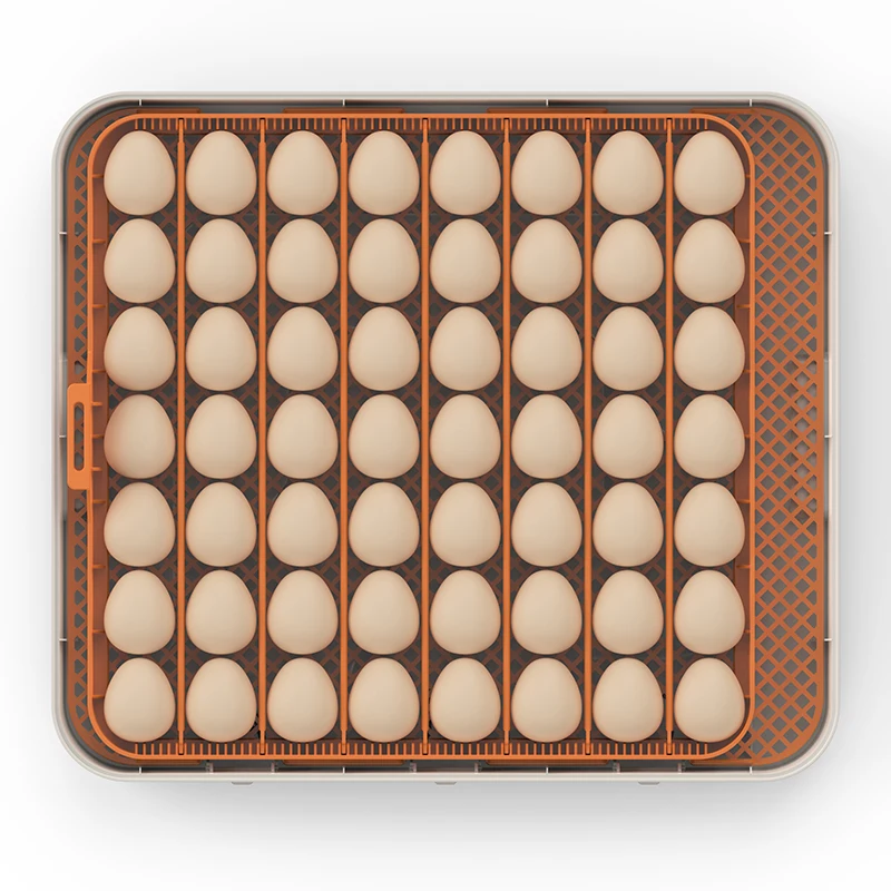 Automatic 56 egg turning automatic water incubator