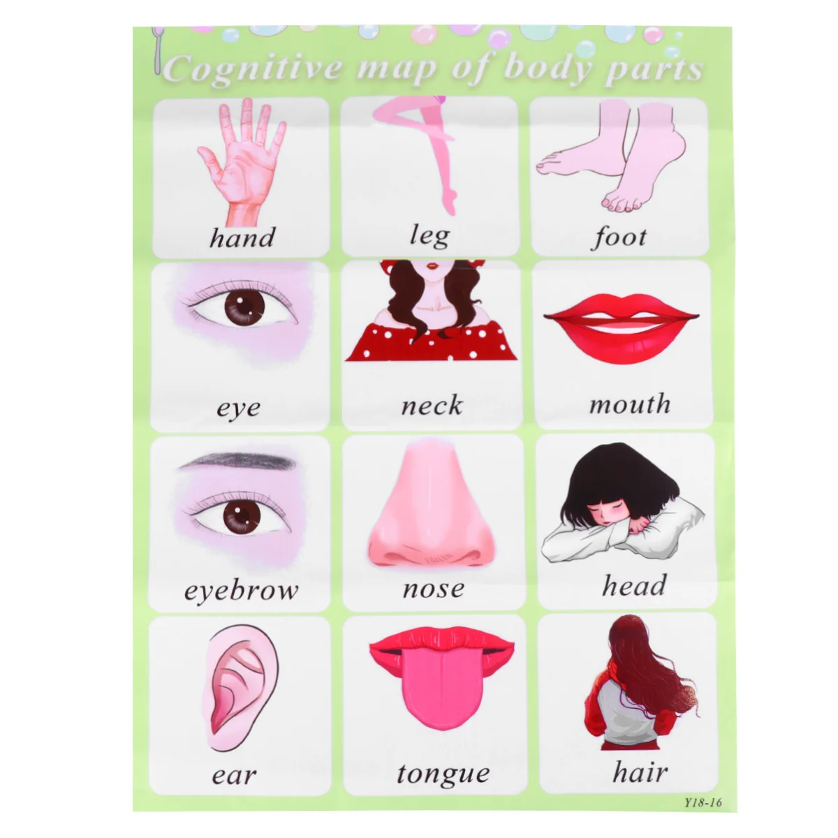 Tabla de pared de palabras en inglés, herramienta educativa de enseñanza preescolar para bebé, póster de aprendizaje del alfabeto, inteligencia estimulante del Color