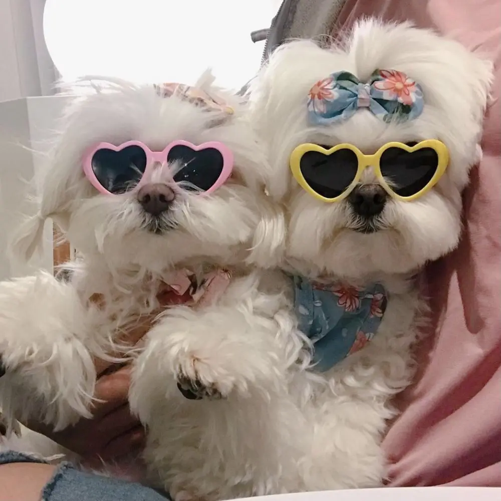 Cute Puppy Pet Products Photos Props For Small Cat Pet Glasses Pets Party Decor Cat Sunglasses Cat Glasses Cat  Eye-Wear