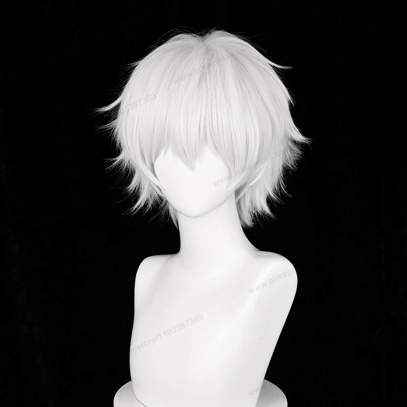 Kaneki Ken 코스프레 가발, 짧은 실버 흰색 남자 헤어, 애니메이션 내열성 합성 가발, 30cm