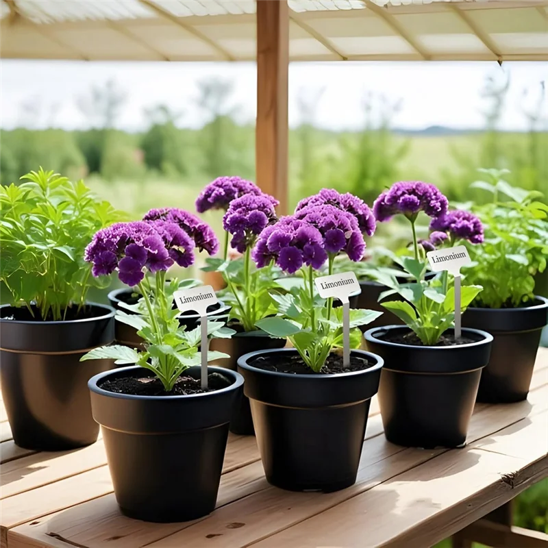 20Pcs Ground-Stick Garden Tags Plant Tags Height 12.75 In Vegetables Herb Flower Seed Green House