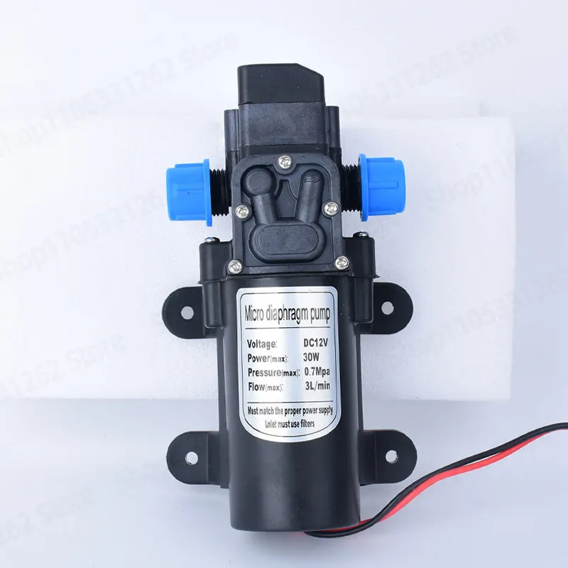 Mini Diaphragm Pump 220V 12V 60W Home Car Wash Self-Priming Booster Spray High Pressure Smart Water Pump