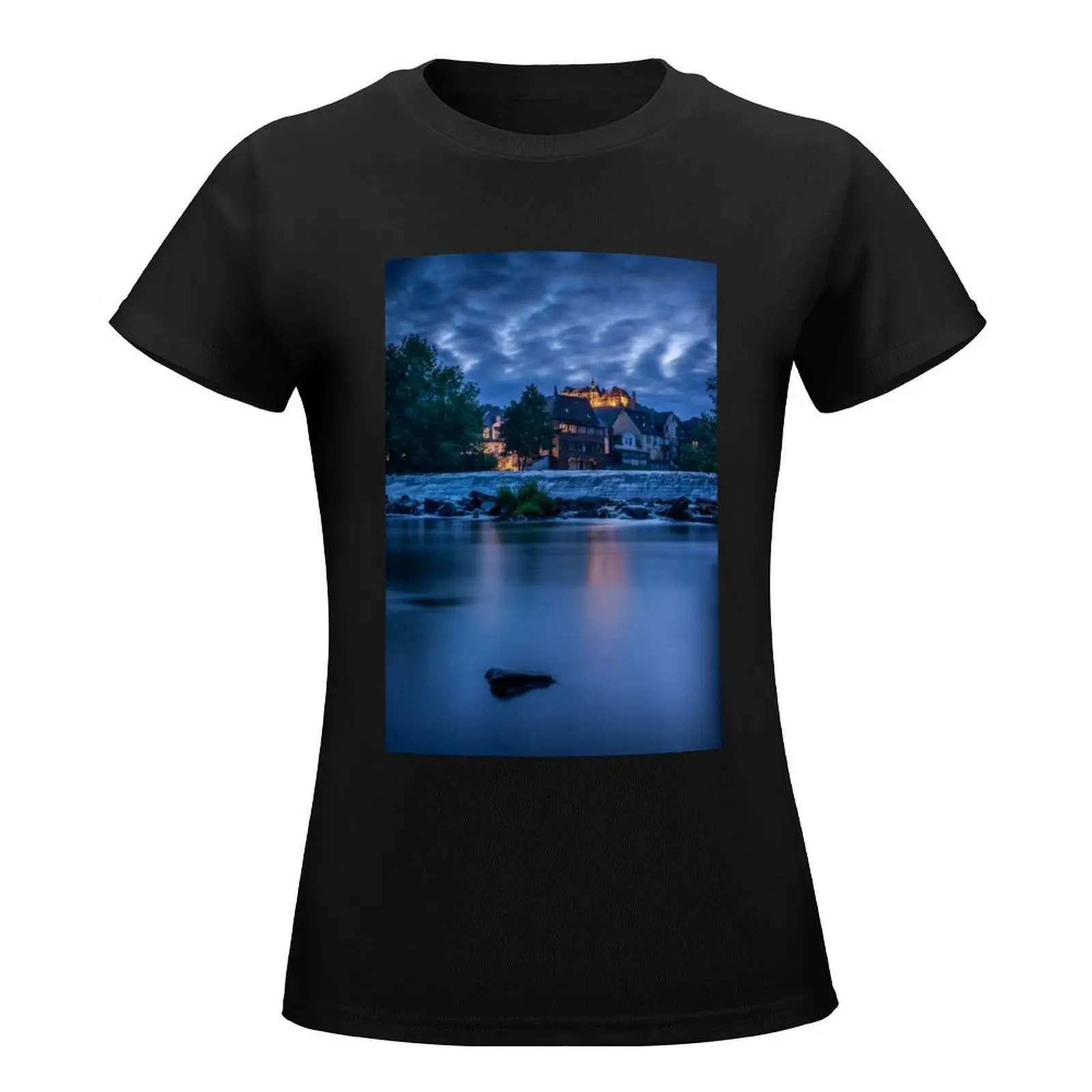 Castle view at the blue hour T-Shirt graphics Short sleeve tee korean Women's clothes