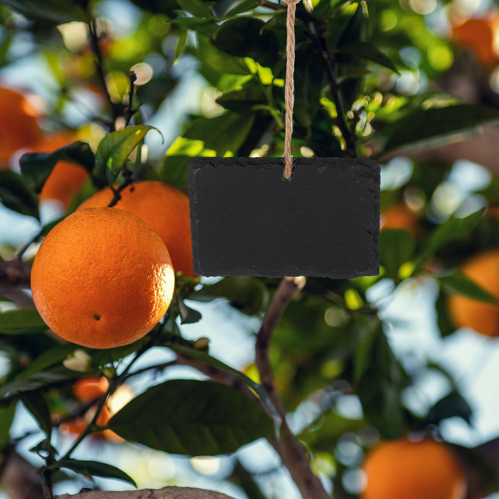 

Labels for Garden Plants Large Outdoor Signs Black Stone Markers Hanging Decor Hanger Sign Rope Wall Chalk Writing