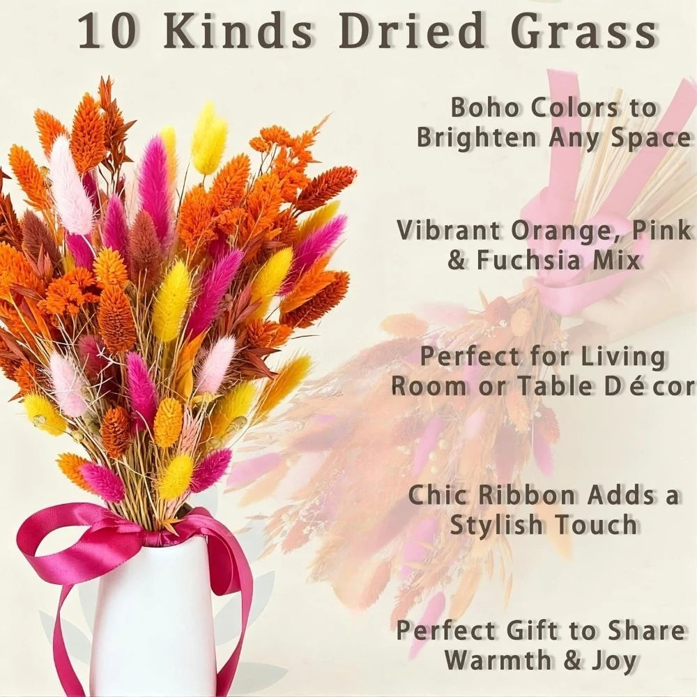 Colorful Dried Flower Pampas B - Baby Breath Dried recension och pris